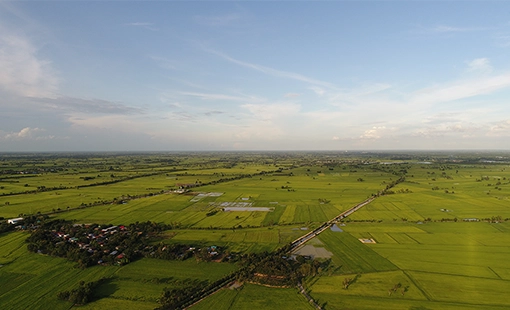 Hiranandani Coral Court Alibaug Investment Land