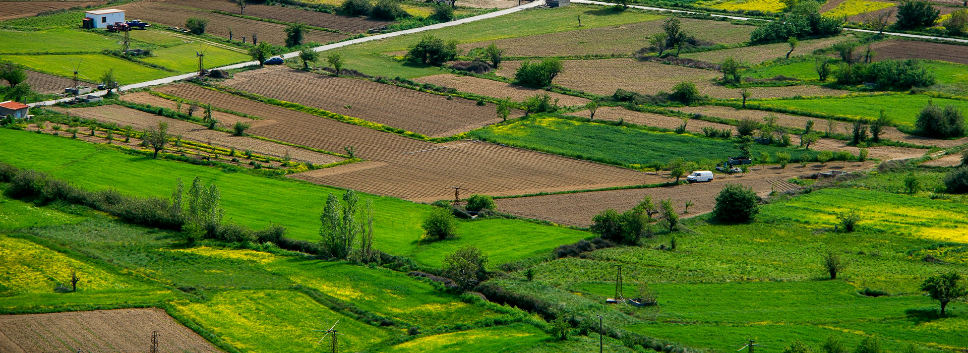 Hiranandani Alibaug Banner 2