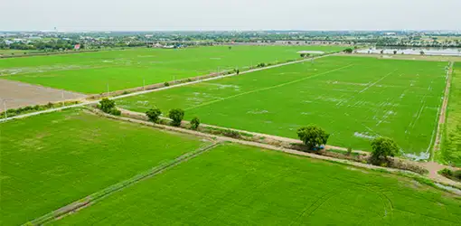 Hiranandani Coral Nest Phase 1